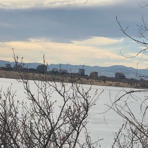 Meet your Posher, Summer